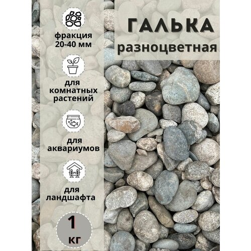 Галька разноцветная(пестрая) 20-40мм (1кг) для комнатных и садовых растений фотография