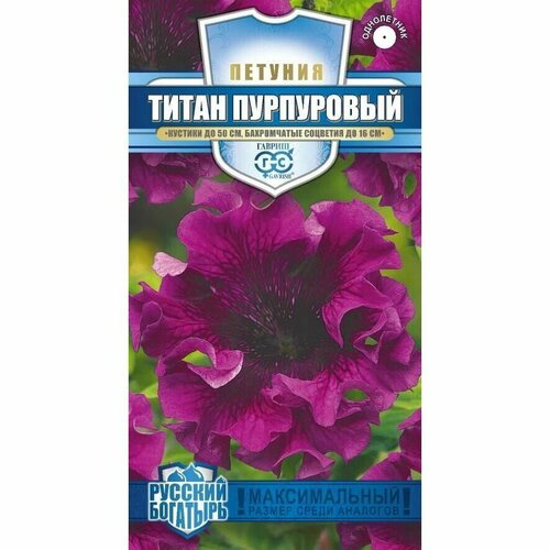 Семена Петуния Титан Пурпуровый бахромчатая 7шт Одн 50см (Гавриш) Русский богатырь фотография