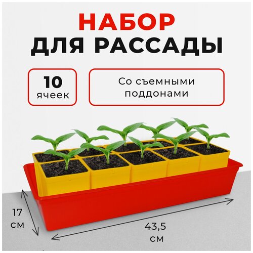 Набор для рассады с поддоном, 10 горшков по 0.5 л фотография