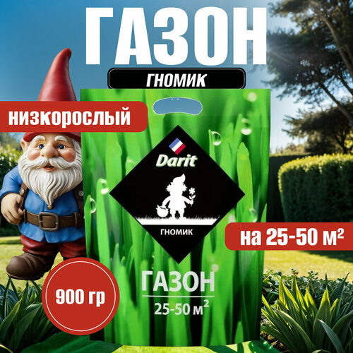 Семена газона гномик для дома низкорослый 900г DARIT фотография