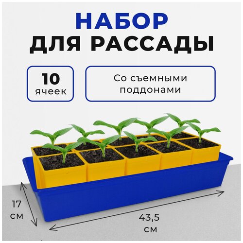 Набор для рассады с поддоном, 10 горшков по 0.5 л фотография