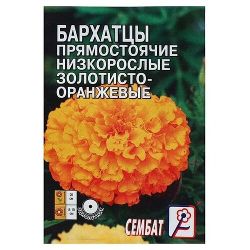 Семена цветов Бархатцы прямостоячий низкорослый золотисто-оранжевый, О, 0,1 г, 7 упаковок фотография
