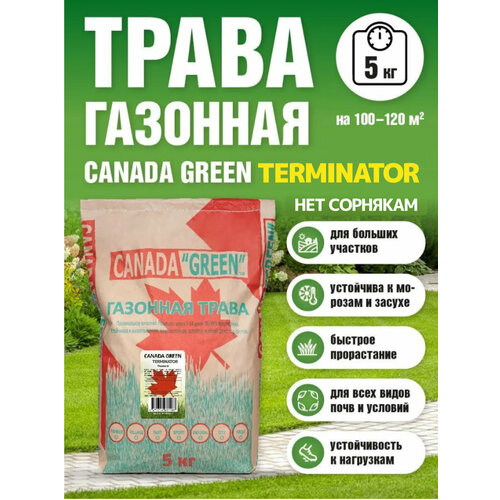 Газонная трава семена Канада Грин Нет сорнякам 5кг / Canada Green Terminator 5кг фотография