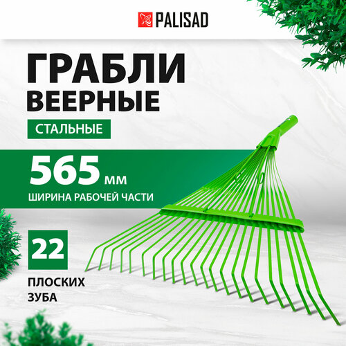 Грабли веерные PALISAD 617015 (43.7 см) фотография