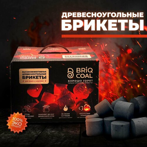 BriqBOX 4 кг - Высокоэффективные Древесноугольные Брикеты BRIQCOAL фотография