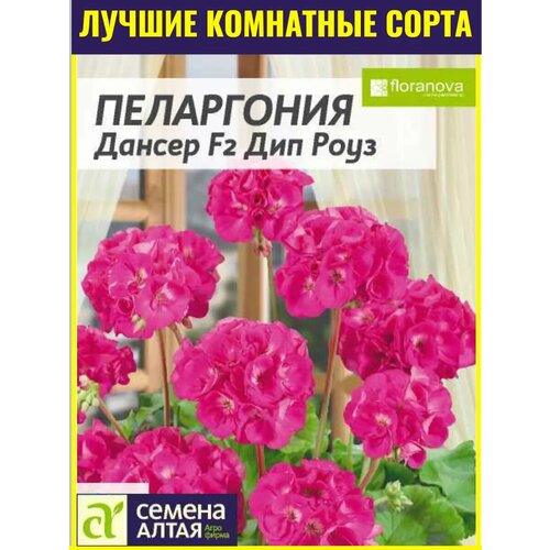 Семена комнатной пеларгонии Дансер F2 Дип Роуз - 4 шт. Многолетний зональный гибрид от Floranova фотография