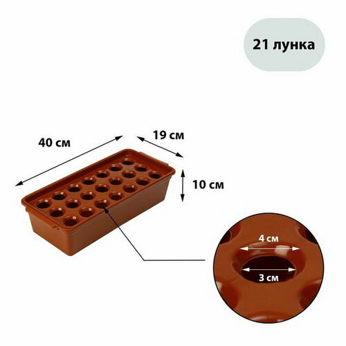 Ящик для выращивания зелёного лука, 40 x 19 x 10 см, 21 лунка, пластик, красный фотография