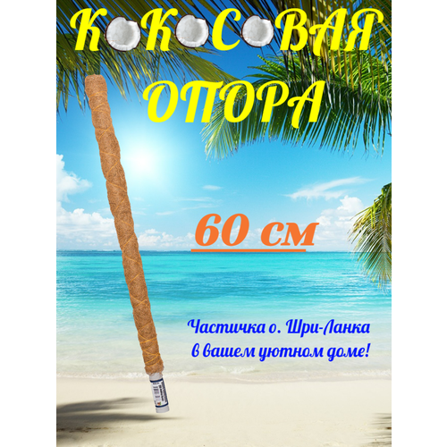 Кокосовая опора 60см фотография