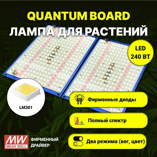 Светильник для растений/ quantum board c диодами LM-301, фитолампа 240 ватт, Mean Well, 5000К, квантум борд фотография