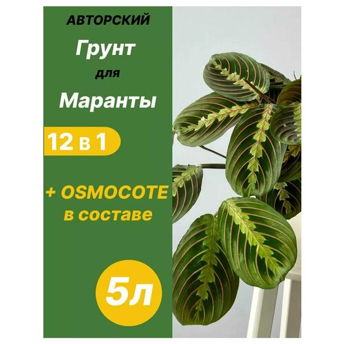 Грунт для Маранты 5л готовый фотография