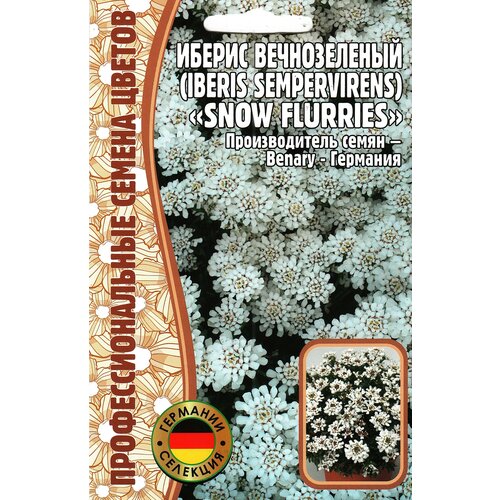 Иберис вечнозелёный SNOW FLURRIES, многолетник ( 1 уп: 5 семян ) фотография