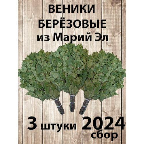 Веник березовый для бани 3 штуки Марий Эл, сбор 2024 года фотография