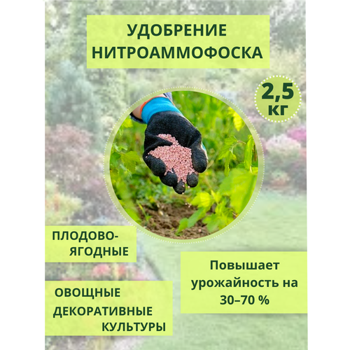 Нитроаммофоска удобрение, 2.5 кг фотография