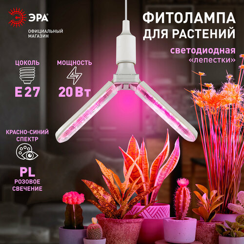 Фитолампа для растений светодиодная ЭРА GREEN LINE ФИТО-20W-PL-E27-GR 2-х лепестковая красно-синего спектра 24 Вт Е27 фотография