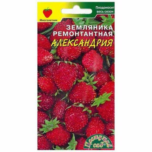 Семена Земляника Александрия, среднеспелый, (Цветущий Сад) 0,03г фотография