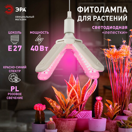 Фитолампа для растений светодиодная ЭРА GREEN LINE ФИТО-40W-PL-E27-GR 4-х лепестковая красно-синего спектра 40 Вт Е27 фотография