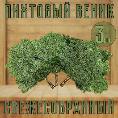 Веник Пихтовый свежесобранный для бани 3 шт. фотография