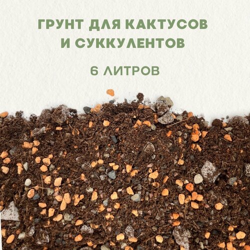 Готовый грунт для кактусов и суккулентов. Грунт для сансевиерии. 6 литров. фотография