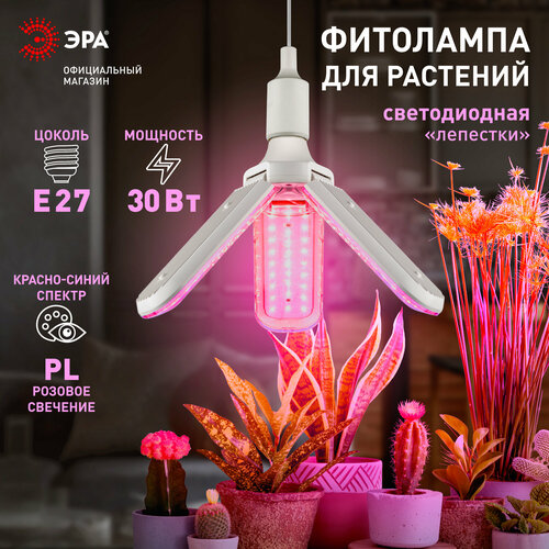 Фитолампа для растений светодиодная ЭРА GREEN LINE ФИТО-30W-PL-E27-GR 3-х лепестковая красно-синего спектра 30 Вт Е27 фотография