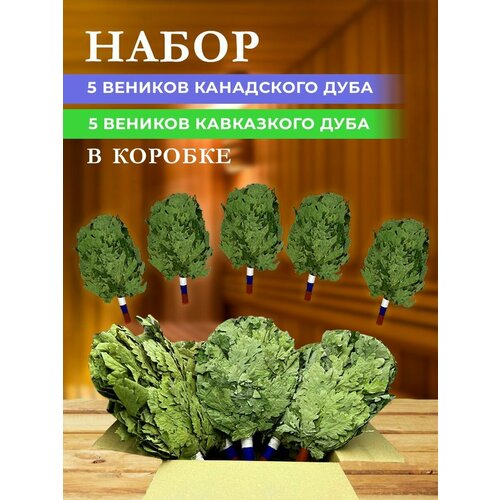 Набор веников для бани/ Канадский дуб 5шт/ Кавказкий дуб 5шт фотография