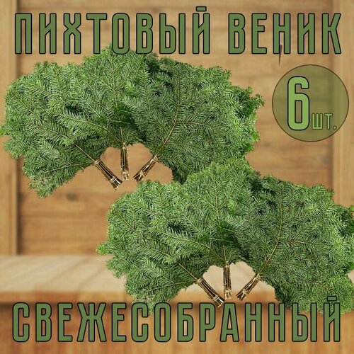 Веник Пихтовый свежесобранный для бани 6шт. фотография