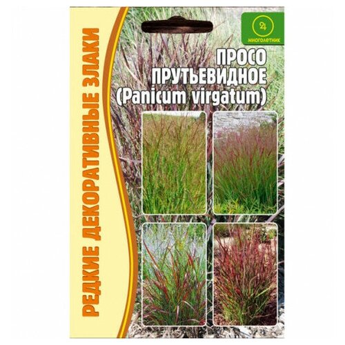 Семена Просо прутьевидное (Panicum virgatum) (0,1 г) фотография