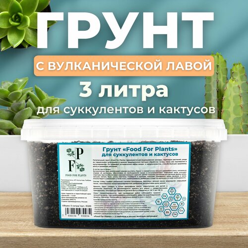 Грунт для суккулентов и кактусов. Субстрат для комнатных растений. фотография