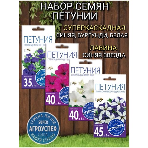 Семена цветов Агроуспех петуния суперкаскадная: белая, синяя, бургунди и лавина синяя звезда фотография