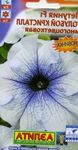 Photo Petunia, light blue