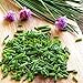 Foto 100pcs / lot de las cebolletas chinas de Semillas Semillas Allium Schoenoprasum Condimento vegetal Oriental ensalada de cebolla semillas de hortalizas Bonsai bricolaje