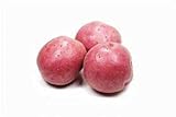 Seed Potatoes for Planting Russet - 5 lb Photo, best price $39.97 ($0.50 / Ounce) new 2024