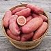 Photo Seed Potatoes for Planting French Fingerling 5lbs.