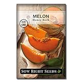 Sow Right Seeds - Honey Rock Melon Seed for Planting  - Non-GMO Heirloom Packet with Instructions to Plant a Home Vegetable Garden Photo, best price $4.99 new 2024