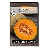 Sow Right Seeds - Hales Best Melon Seed for Planting  - Non-GMO Heirloom Packet with Instructions to Plant a Home Vegetable Garden Photo, best price $4.99 new 2024