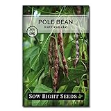 Sow Right Seeds - Rattlesnake Pole Bean Seed for Planting - Non-GMO Heirloom Packet with Instructions to Plant a Home Vegetable Garden Photo, best price $5.49 new 2024