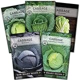 Sow Right Seeds - Cabbage Seed Collection for Planting - Savoy, Red Acre, Golden Acre, Copenhagen Market, and Michihili (Napa) Cabbages, Instructions to Plant and Grow a Non-GMO Heirloom Home Garden Photo, best price $10.99 new 2024