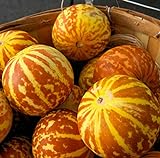 20 Rare Tigger Melon Seeds | Exotic Garden Fruit Seeds to Plant | Sweet Exotic Melons, Grow and Eat Photo, best price $8.98 ($0.45 / Count) new 2024